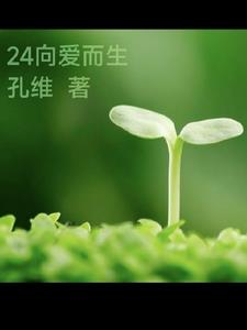 24向座椅调节